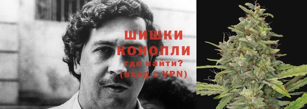 не бодяженный Алзамай