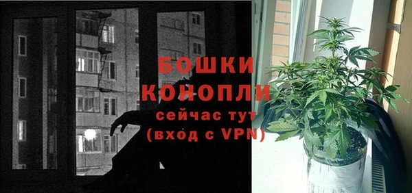 дмт Арсеньев