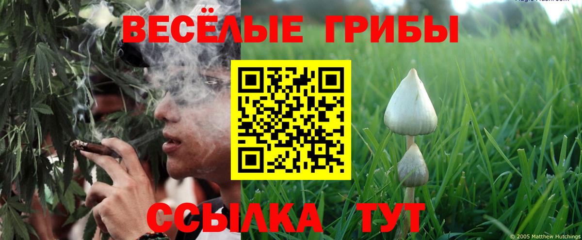 Сибай  Галлюциногенные грибы Magic Shrooms  где купить наркотик  Вход с VPN  Галлюциногенные грибы прущие грибы 